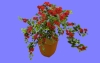 花11.m3d