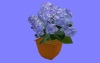 花12.m3d