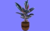 観葉11.m3d