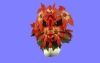 ﾊﾅ1.m3d
