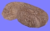 化石J01.m3d