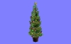 ｸﾘｽﾏｽﾂﾘｰ02.m3d