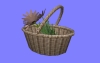 観葉J01.m3d