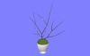 観葉植物A005.m3d