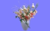 室内花08.m3d