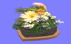室内花10.m3d