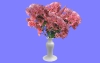 室内花12.m3d