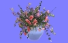 室内花16.m3d