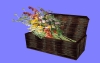 室内花25.m3d