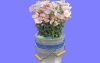 室内花33.m3d