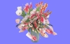 室内花38.m3d