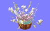 室内花46.m3d