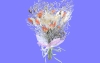 室内花51.m3d
