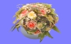 室内花56.m3d