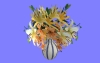 室内花67.m3d
