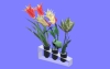室内花70.m3d