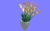 室内花72.m3d
