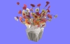室内花74.m3d