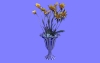 室内花76.m3d
