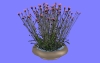 室内花78.m3d