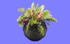 室内花81.m3d