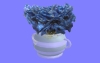 室内花88.m3d