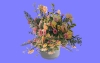 室内花89.m3d