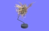 ｶﾝﾖｳ107.m3d