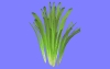 野菜O01.m3d