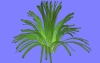 野菜O02.m3d