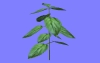 野菜O09.m3d