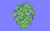 野菜O10.m3d