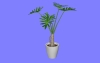 観葉Q10.m3d