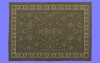 ﾗｸﾞR11.m3d
