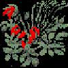 PLANT06.mtb