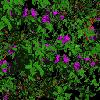 PLANT07.mtb