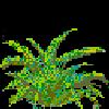 PLANT08.mtb