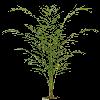 PLANT09.mtb