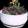 PLANT20.mtb