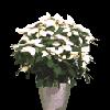 PLANT27.mtb