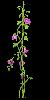 PLANT29.mtb