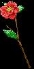PLANT30.mtb
