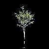 TREE02.mtb