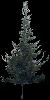 TREE05.mtb