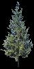 TREE09.mtb