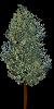TREE12.mtb