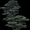 TREE14.mtb