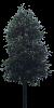 TREE16.mtb