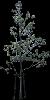 TREE17.mtb