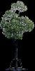 TREE19.mtb